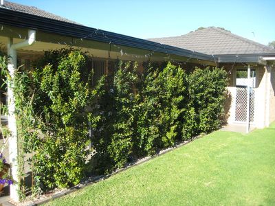 64 Sheraton Road, Dubbo
