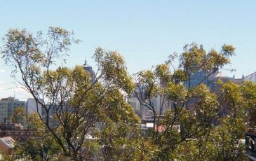 33 / 134 Redfern St, Redfern