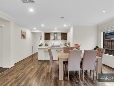 14 Walbrook Drive, Clyde North