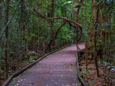 6 River Cherry Place , Maleny
