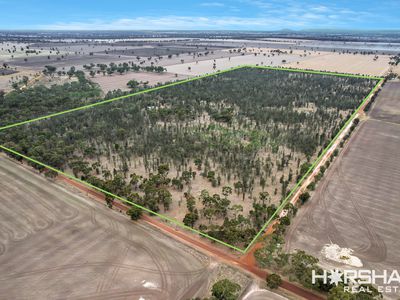 Lot 8, 8 Donald Swamp Road, Mockinya