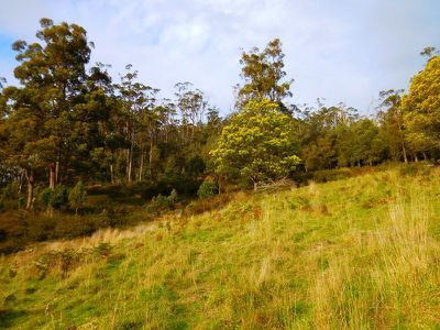 30 Acres Off Abbots Road, Nicholls Rivulet