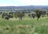 48 Lower Lewis Ponds Road, Orange