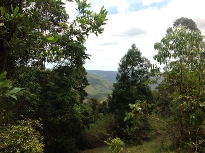 345 Harpers Creek Rd , Maleny