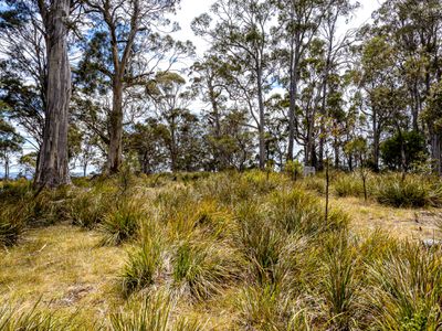 "The Bush Block" 475 Saltwater River Road, Saltwater River