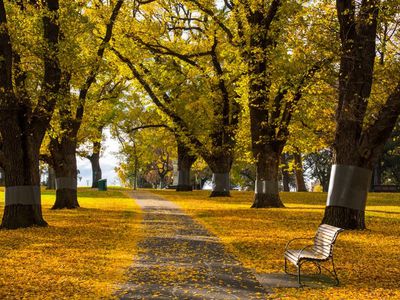 219 / 118 Dudley Street, West Melbourne