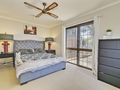 7 Patrice Court, Daisy Hill