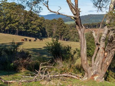 Lot 2 Sledge Hill Road , Glendevie