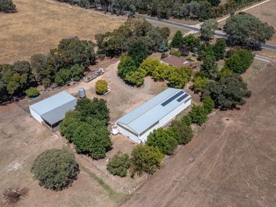 1047 Great Alpine Road, Tarrawingee
