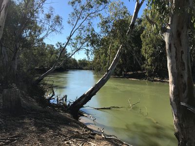 2 / Murray Road, Murrabit