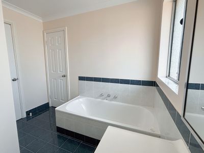 8 / 243 Piccadilly Street, West Lamington