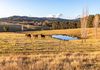 166 Green Hill Lane, Wyndham