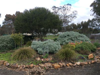 150 Yellow Box Road, Tallarook
