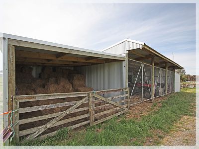 10 Ripa Street, Tangimoana