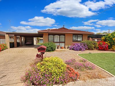 17 Schwarz Avenue, Horsham