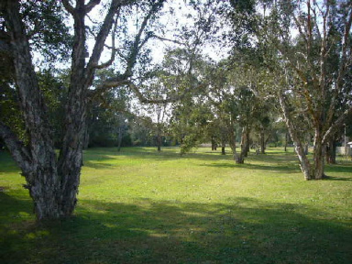 19A Tanilba Avenue, Tanilba Bay, Tanilba Bay - Thumbnail 3