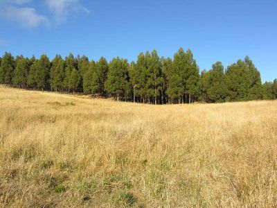 Lot 2 Huon Highway, Dover