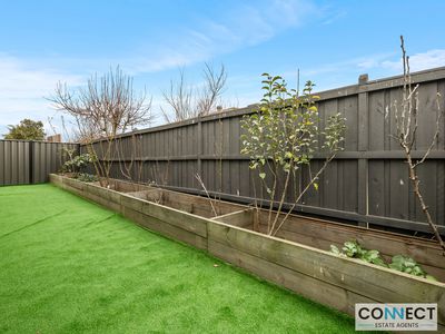 33 Burford Way, Cranbourne North