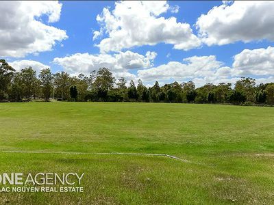 11 Napier Pl, Forest Lake