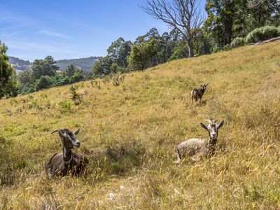 99 Britcliffes Road, Geeveston