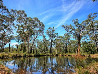 104 Cambourne Road, Tomerong