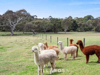 824 Teesdale-Inverleigh Road, Teesdale