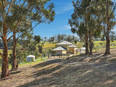 330 Sugarloaf Road, Carlton River