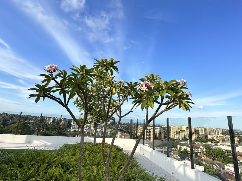 108 / 12 Stanley Street, Kogarah