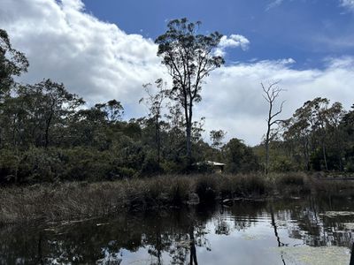 230 Randalls Bay Road, Randalls Bay