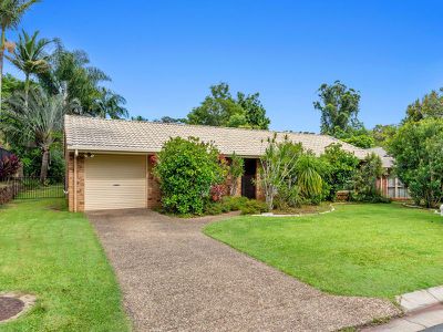 11 Taronga Street, Palmwoods