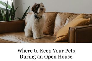 Where to keep your pets during an open house!