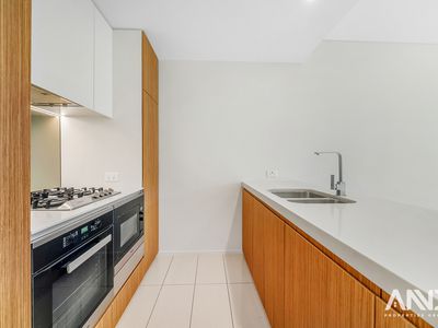 1305 / 161 Clarence Street, Sydney