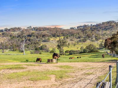 552 Upton Rd, Avenel