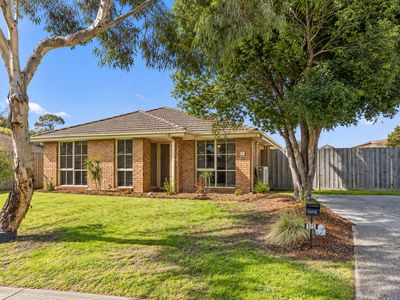 15 Capella Pl, Carrum Downs