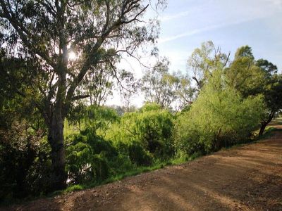 335 Church Lane, Milawa