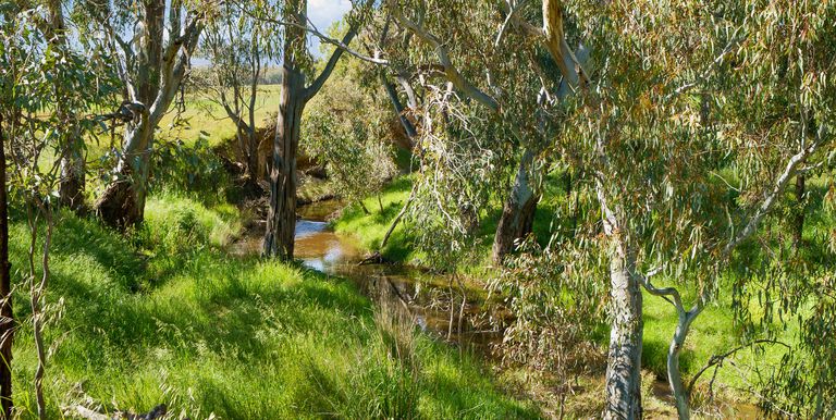 Lot 2, 327  Euroa Mansfield Road  , Euroa