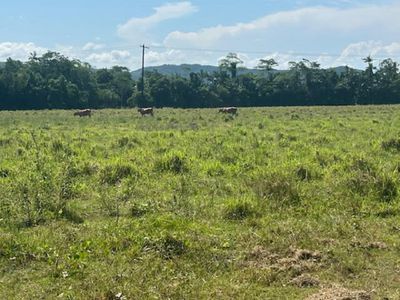 0 Bruce Highway, Sandy Pocket