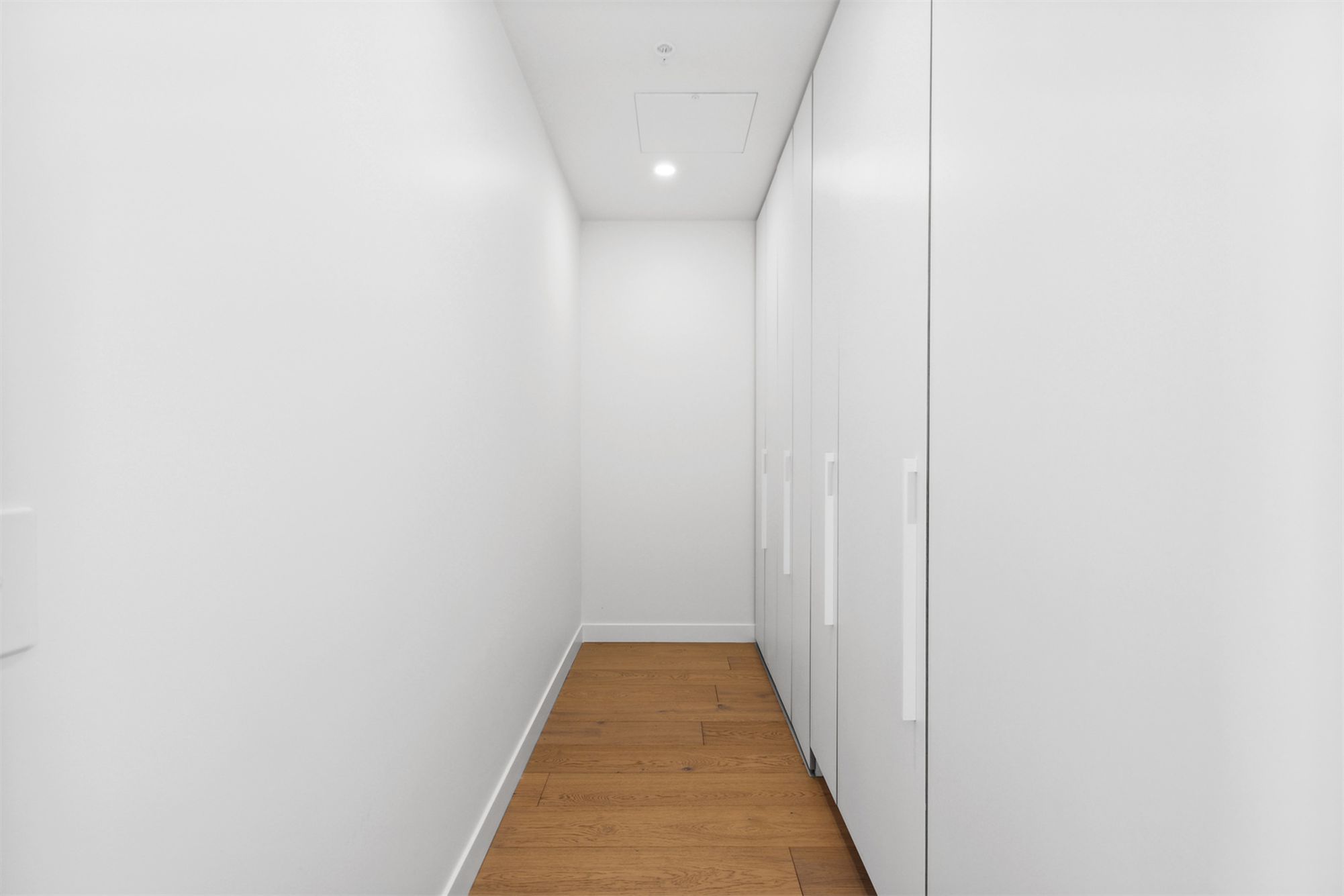 1407 / 29 Angas Street, Adelaide