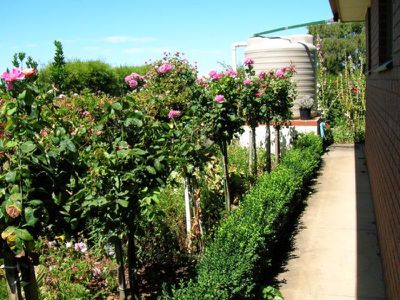 Lot 202 Evans Road, Glenburnie, Mount Gambier