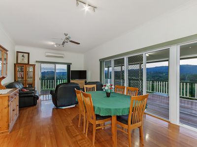 142 Birds Road, Guanaba