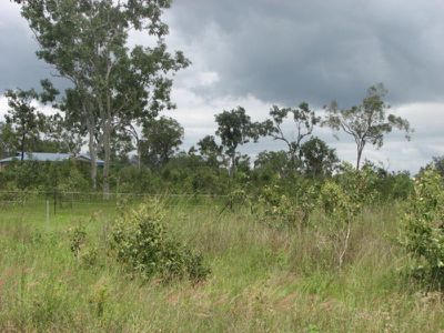 Mareeba