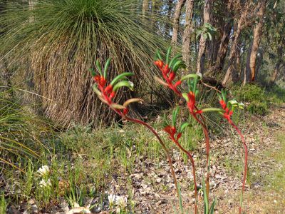350-390 Robinson Road, Mahogany Creek