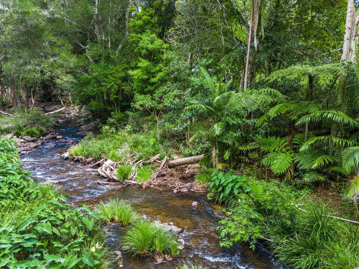 20 Lilly Pilly Road, Wilsons Creek