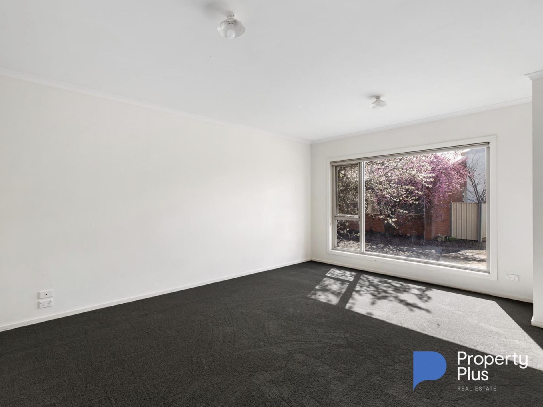 5 / 131 Havlin Street East, Flora Hill