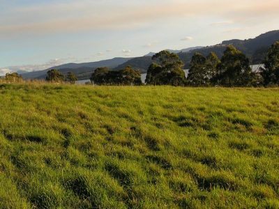 Lot 4 Cygnet Coast Road, Cradoc