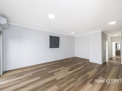 19 Ferguson Street, Maylands