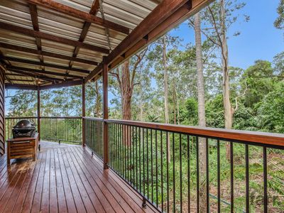 77 Contour Road, Tamborine Mountain