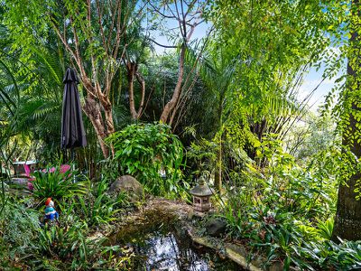 309 Diddillibah Road, Diddillibah
