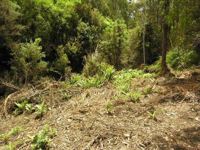 Lot 2, 7743 Huon Highway, Strathblane