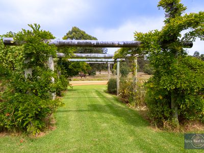 124 Sheoak Drive, Hay